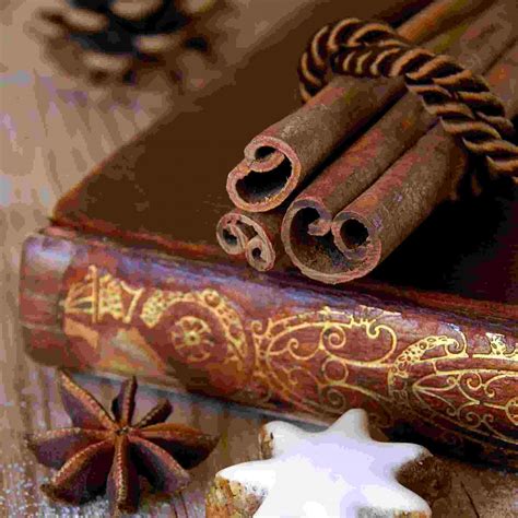 4 Best Chinese Herbs for Kidney Health | GinSen