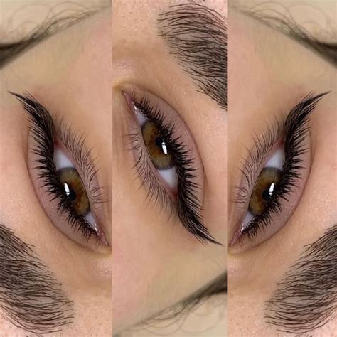 Contour Makeup, Skin Makeup, Eyeshadow Makeup, Natural Fake Eyelashes ...