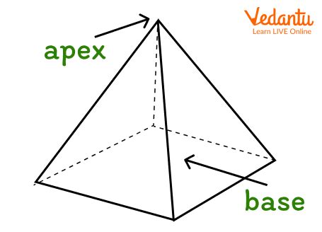 The Base of a Shape: Learn Definition, Facts & Examples