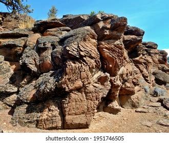 conglomerate rock royalty  images stock  pictures