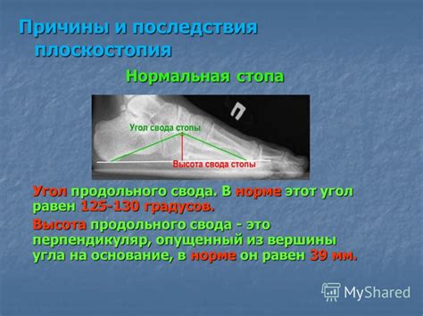 Презентация на тему: "Разработка урока по биологии для 8 класса на тему ...