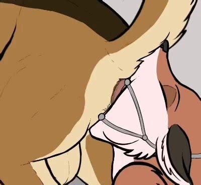 furry yiff scat gif animations thisvidcom na russkom