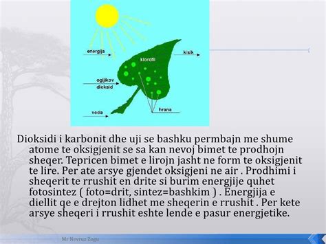 Biologji