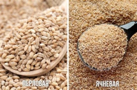 Какая крупа полезнее - перловая или ячневая? | BB.LV