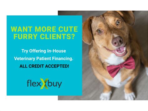 veterinary financing flexxbuy