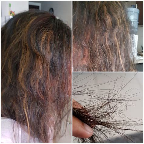 Why adding low-lights might actually save your damaged hair today 30