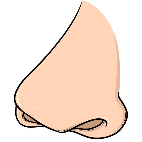 cartoon noses  kids