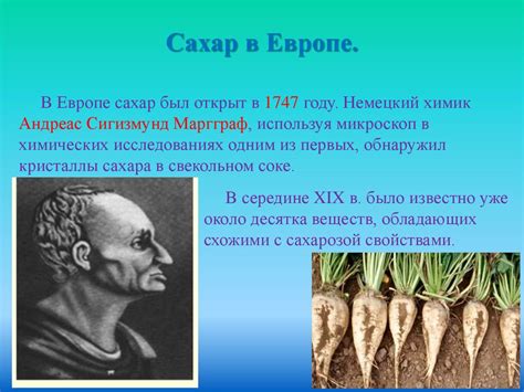 Углеводы. Классификация углеводов - презентация онлайн