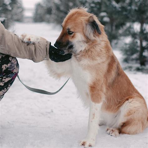 Лилу