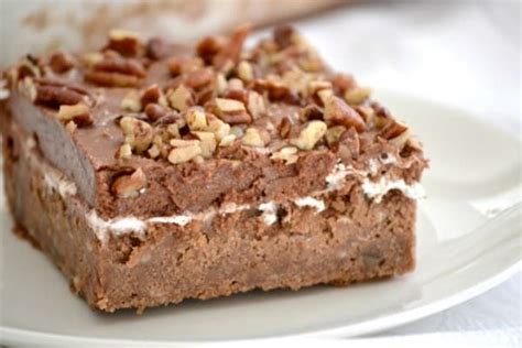 Mississippi Mud Cake is a rich chocolate cake pecans and coconut, topped with a layer of ...