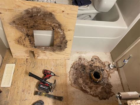 Hidden Dangers: Edmonton Snowbirds & Dry Wax Seal - Tile Experts