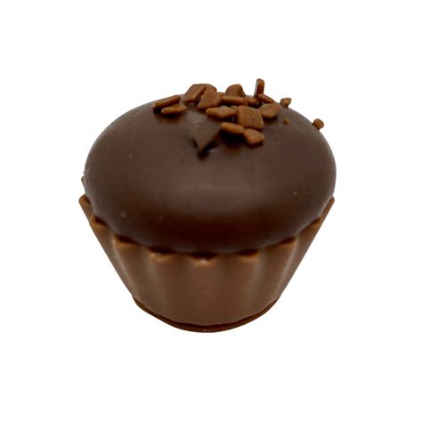 Chocolate Muffin Cupcake | The Chocolate Shop