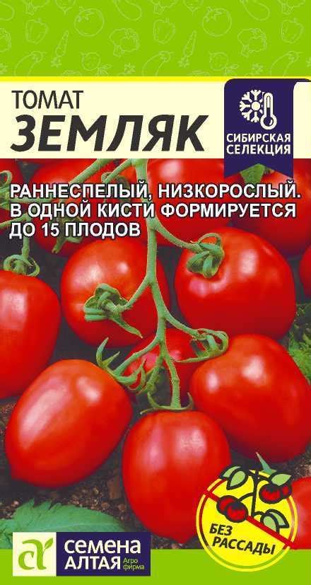 Томат