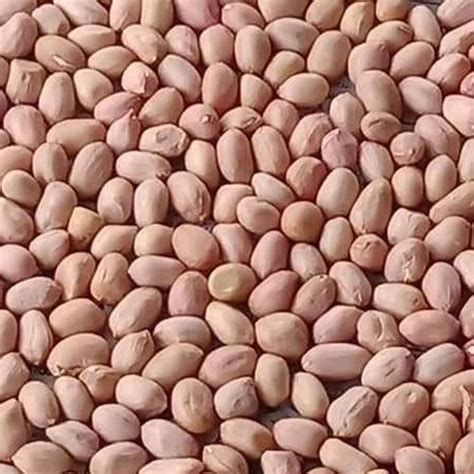 crunchy coated peanuts  rs kg coated peanut  theni id