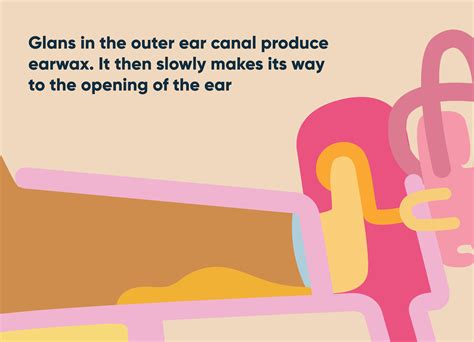 Earex - Ears - All about the wax - Drench Design