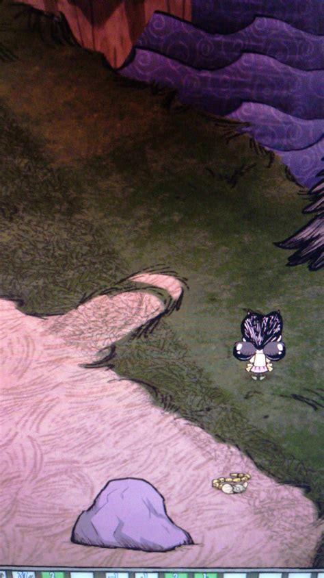 Exploring Stave Hill Ecological Park - TCV reveals surprising nature 3