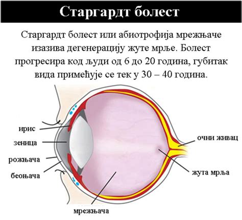 | Клиника УникаМед - уникальные технологии лечения