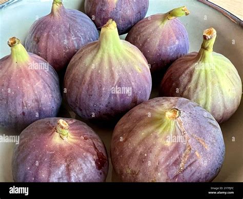 shopping  tablet smartphone stock   images alamy
