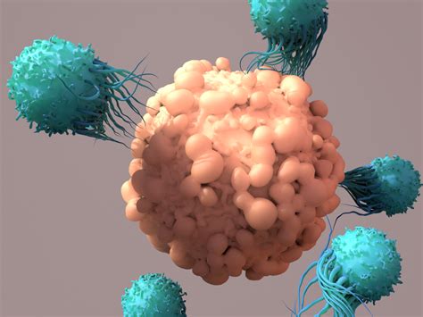 Why We Use Cytotoxic T Cells to Attack Cancer