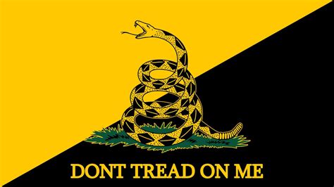 Gadsden Flag Wallpapers - Top Free Gadsden Flag Backgrounds ...
