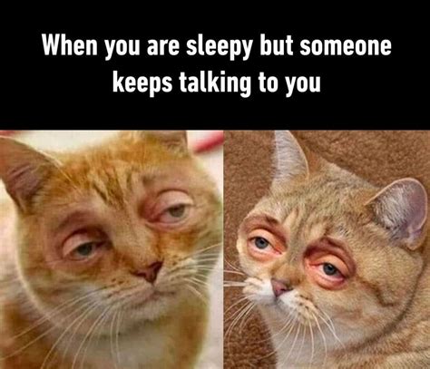 funny good morning memes-11-02-21-2023 - Thunder Dungeon | The Funniest ...