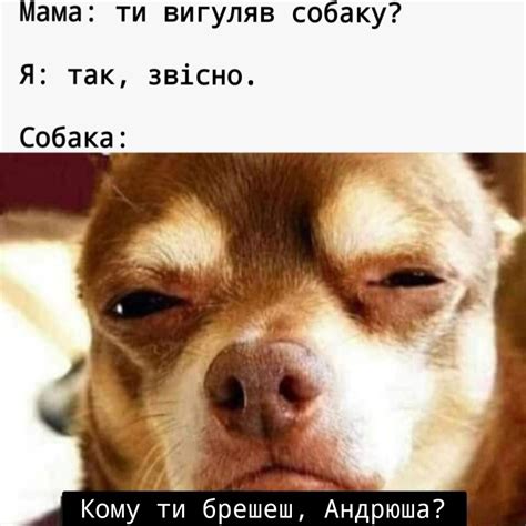 Анекдот дня - Галицький Кореспондент