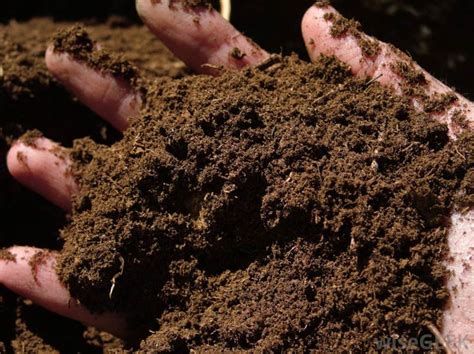 organic fertilizer at Best Price in Srinagar | Kashmir Direct