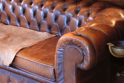 how to get smell out of leather couch