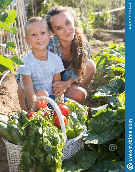 Little Son Helps Mom To Harvest Vegetables Stock Photo - Image of