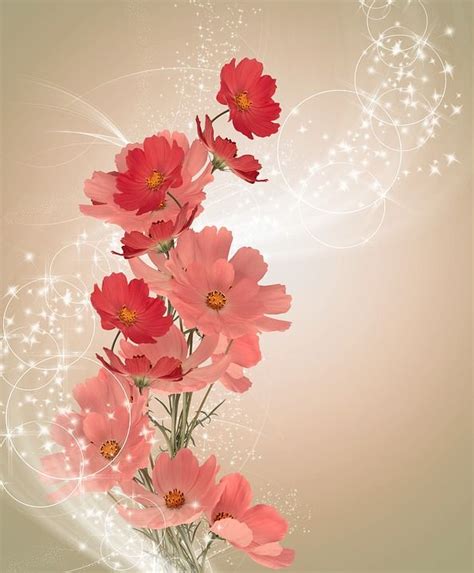 Цветок Задний План Открытка - Бесплатное фото на Pixabay | Flower ...