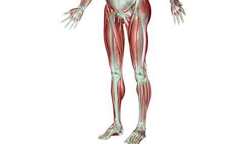 Iliotibial Band Syndrome