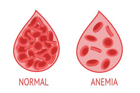 Introduction • The Blood Project