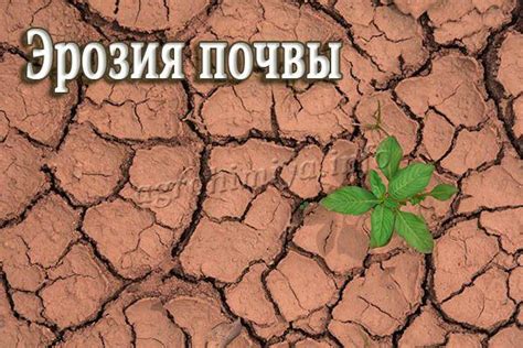 Эрозия почвы: что это, виды, причины, как бороться