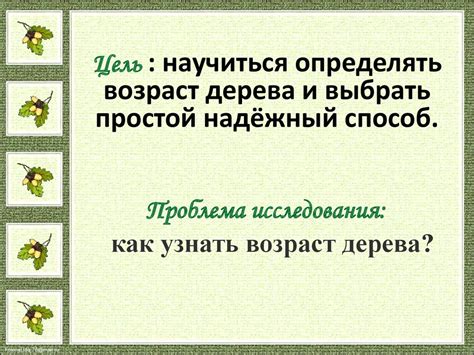 Как узнать возраст дерева - презентация онлайн
