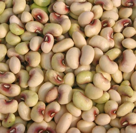 Black-eyed peas stock photo. Image of cornbread, grown - 1027754