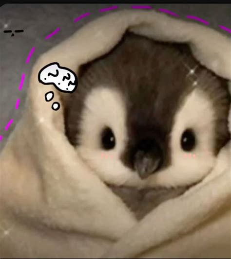 oleh Lano🌷 di Pins by you di 2025 | Bayi hewan, Boneka binatang ...