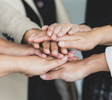 team investment mastery mudrika de maria