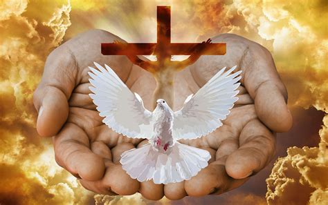 holy trinity wallpaper