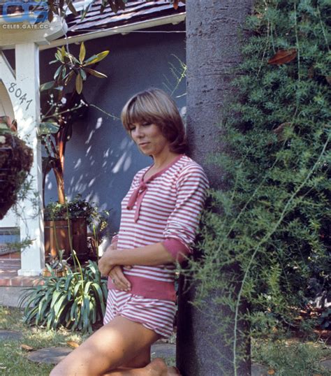 Jo Ann Harris nackt, Nacktbilder, Playboy, Nacktfotos, Fakes, Oben Ohne