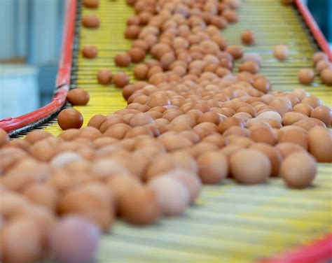 Our Products | Giroux's Poultry Farm
