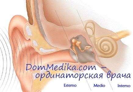 Игровая аудиометрия у детей. Детская аудиометрическая установка ...