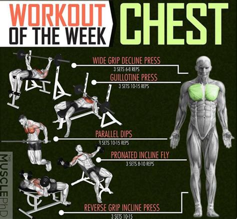 WEEK CHEST WORKOUT | VIDEO & GUIDE