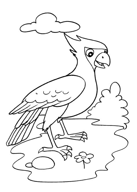 Desenhos de Aves para imprimir e colorir - Só Atividades