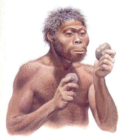 Evolución Humana timeline | Timetoast timelines