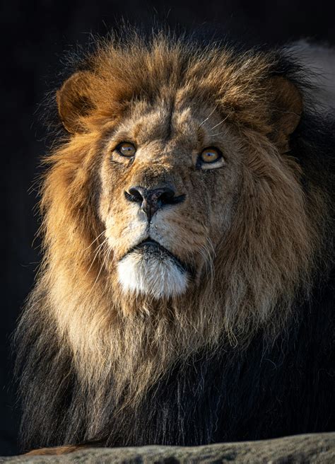 Pics+Of+Big+Tit+Redheads Photos, Download The BEST Free Pics+Of+Big+Tit