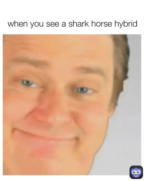 when you see a shark horse hybrid | @disappointmentisland | Memes