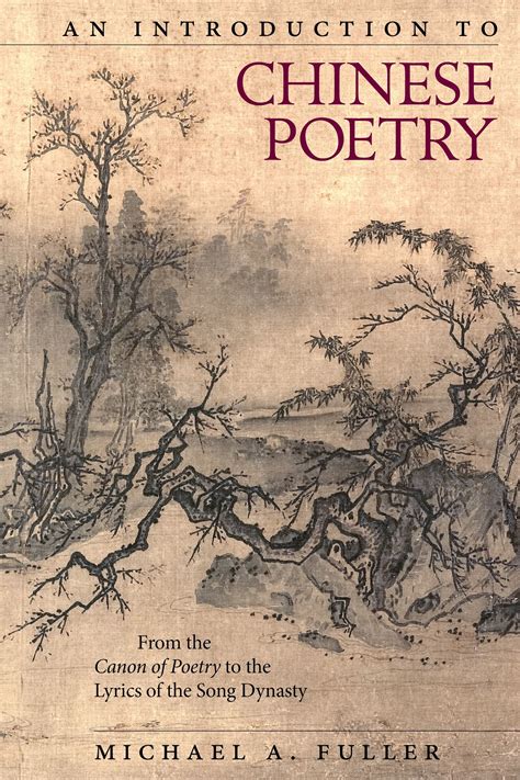 Hermeneutics And The Human Sciences Essays On Language Action And Interpretation Cambridge Philosophy Classics 9