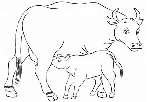 60+ Desenhos de Animais da Fazenda para colorir - Como fazer em casa
