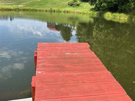 Is West Virginia Trout Stocking Canceled • West Virginia Outsider