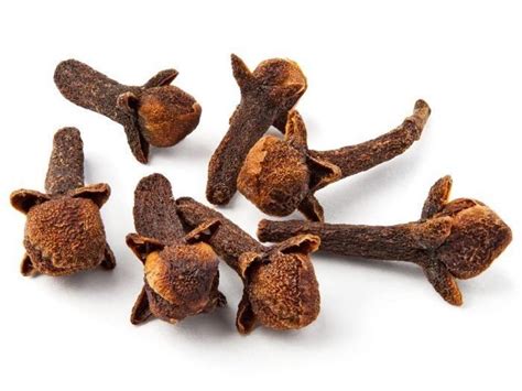 Clove - Alchetron, The Free Social Encyclopedia
